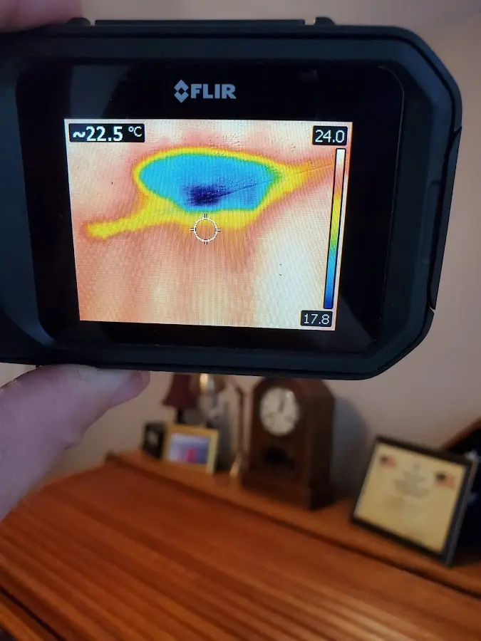 Thermal imaging inspection for water damage in Ontario